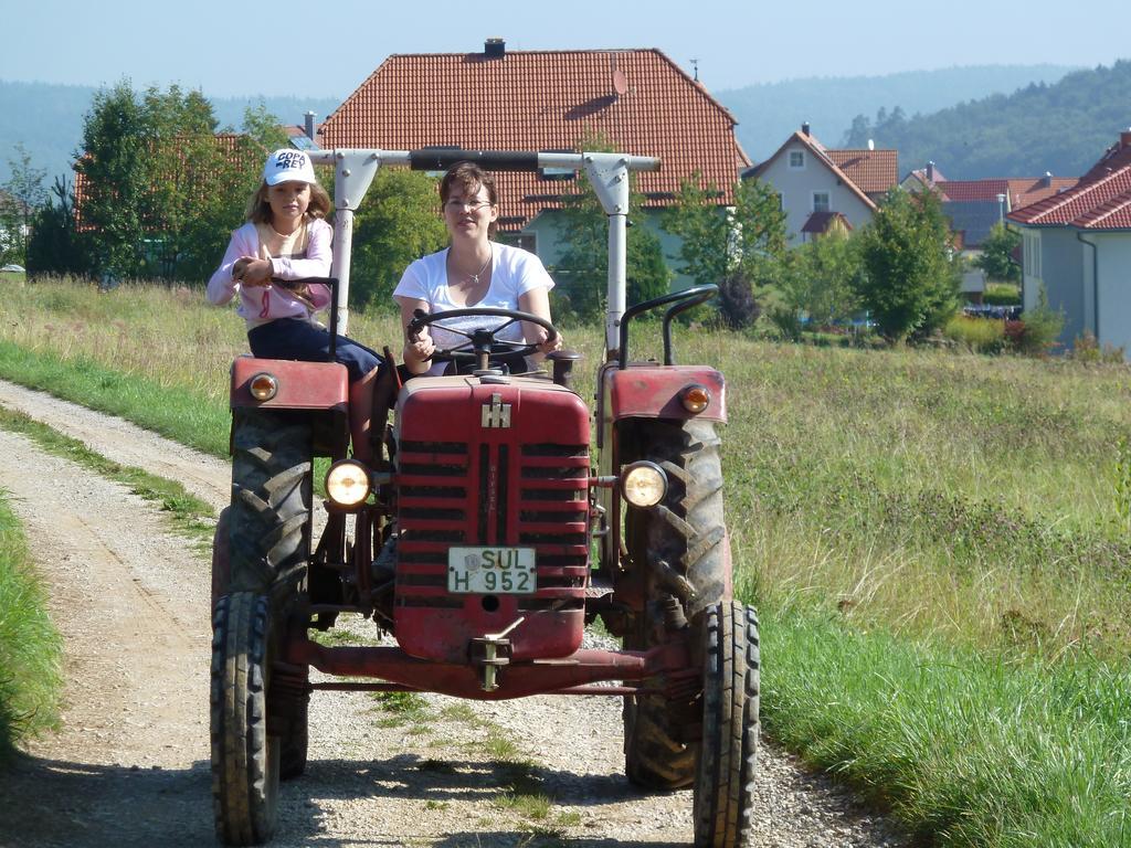 Landgasthof Zum Elsabauern Hotel Königstein in der Oberpfalz Eksteriør billede